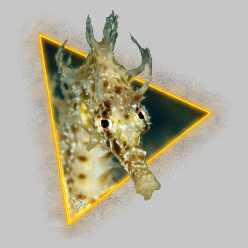 Hippocampe dans un triangle