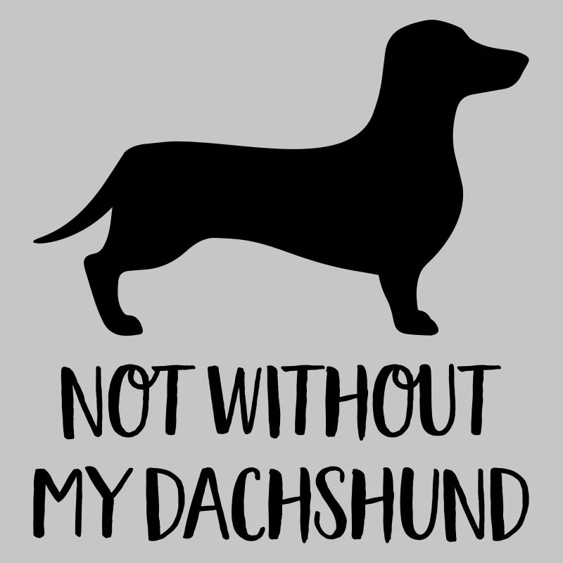 dachshund