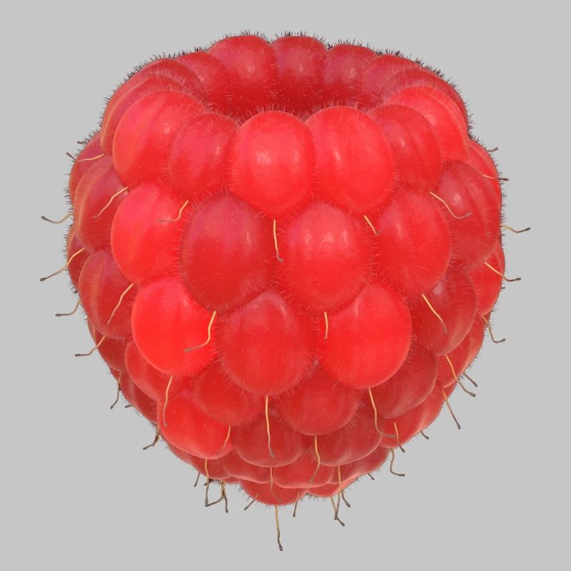 Modèle de grappe de framboises