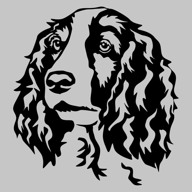 Welsh Springer Spaniel head
