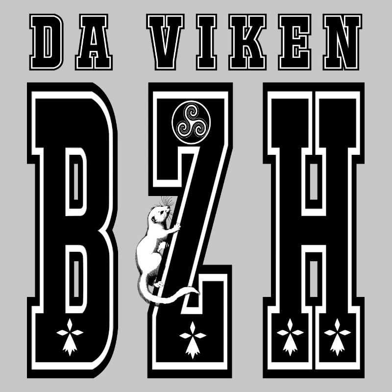 da viken BZH