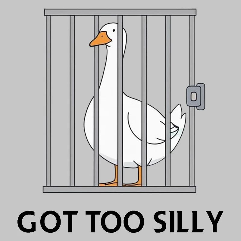 Goose – Got Too Silly
