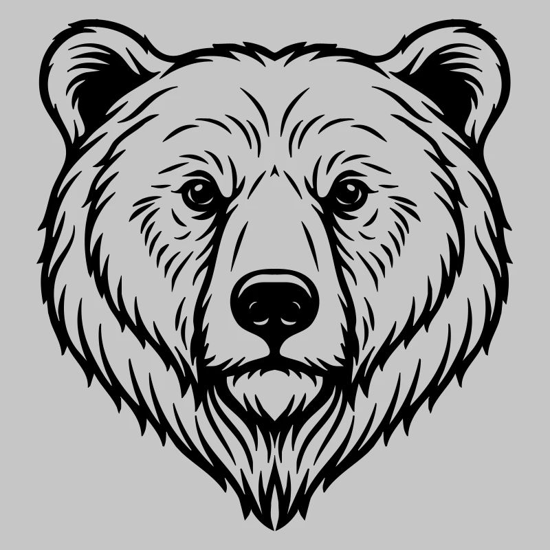 Bär Illustration