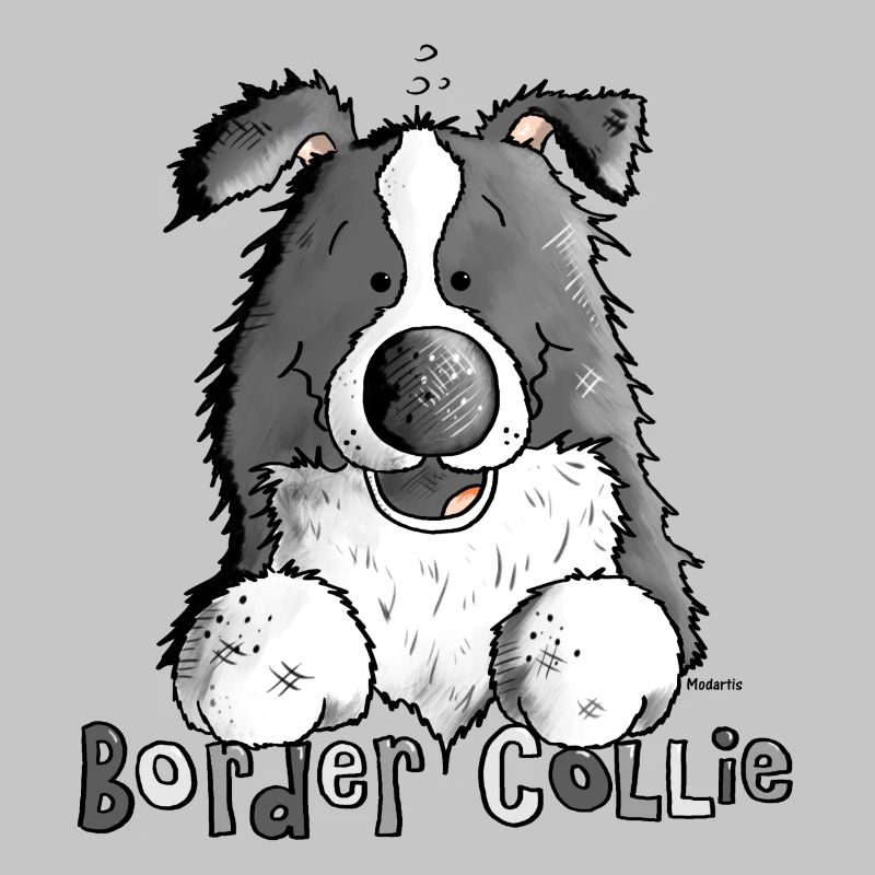 Petit Boder Collie - Chien de Berger