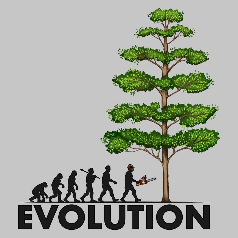 Tronçonneuse Evolution Grey Big Tree