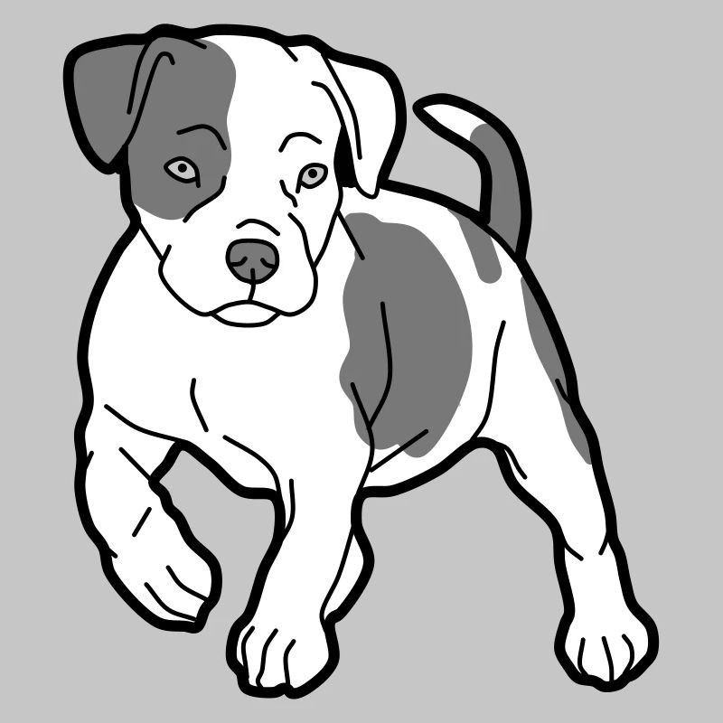 hund