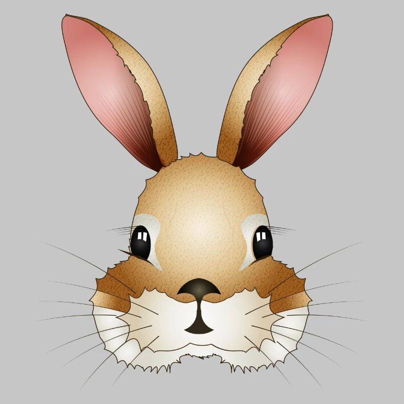 Hand-drawn rabbit head