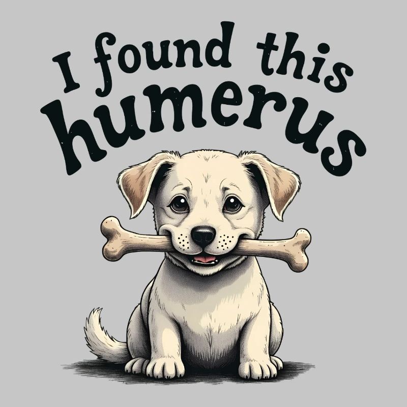 J’ai trouvé cet humérus