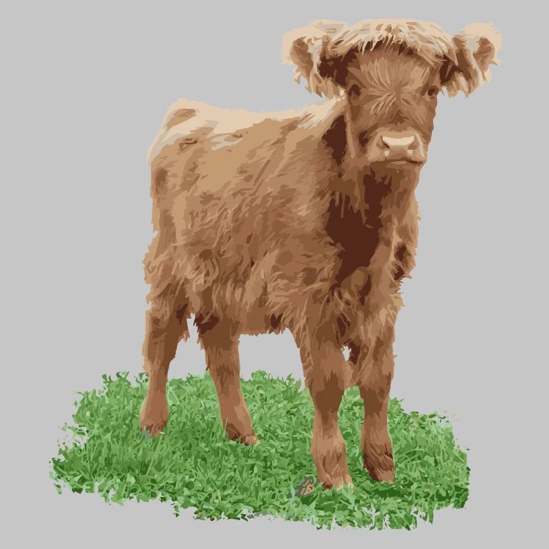Praline the heifer