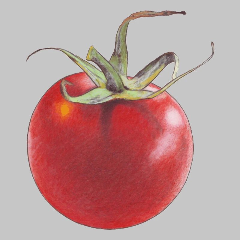 Tomate