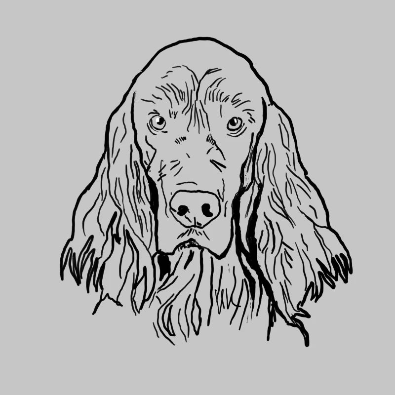 Irish Setter