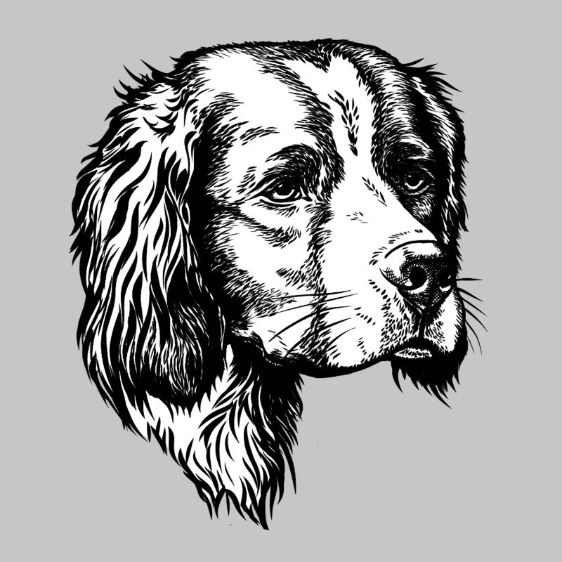 IRW Setter Portrait