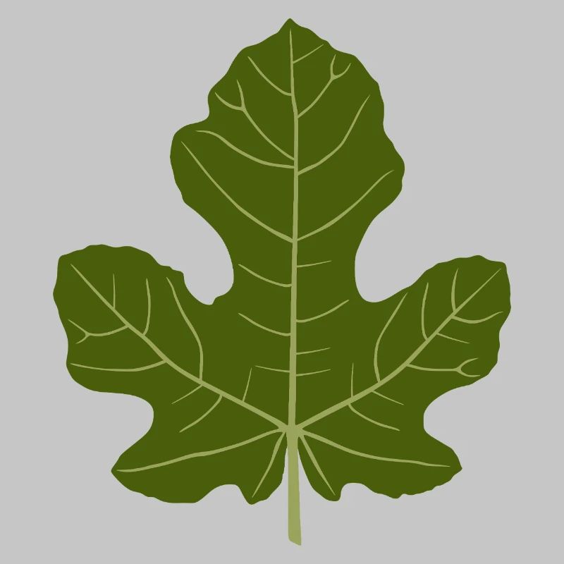 Fig Green Leaf Nature Design