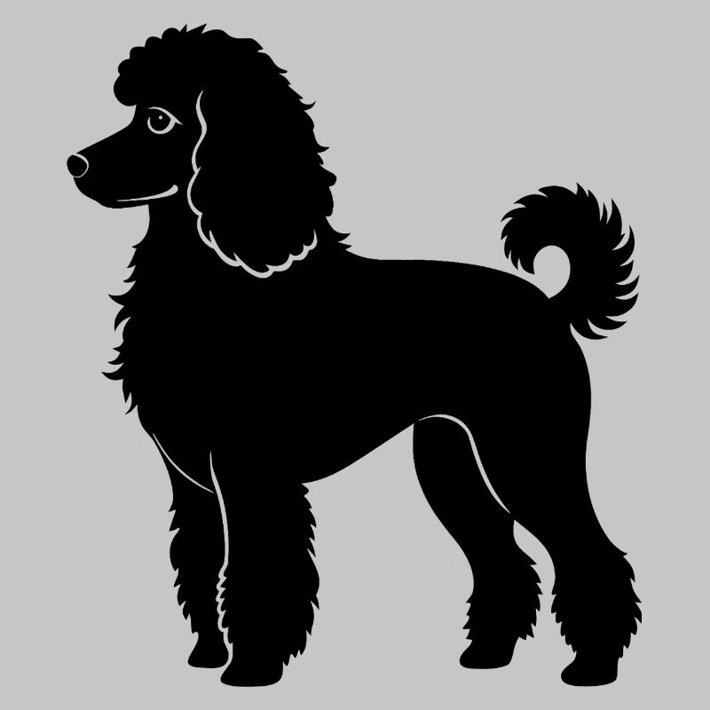 Poodle dog