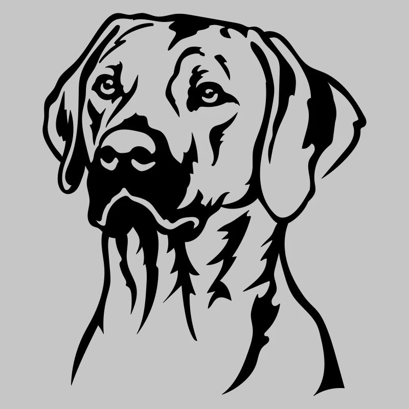 Rhodesian Ridgeback Head