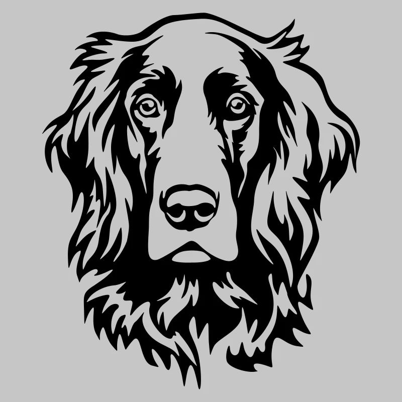 Irish Setter Kopf