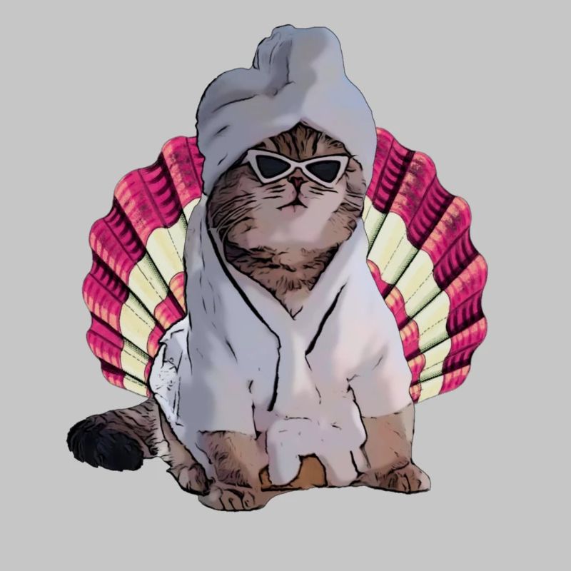 chat cool dans le spa