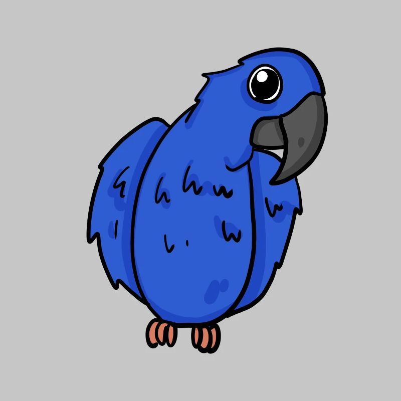 Hyacinth Macaw Parrot Bird