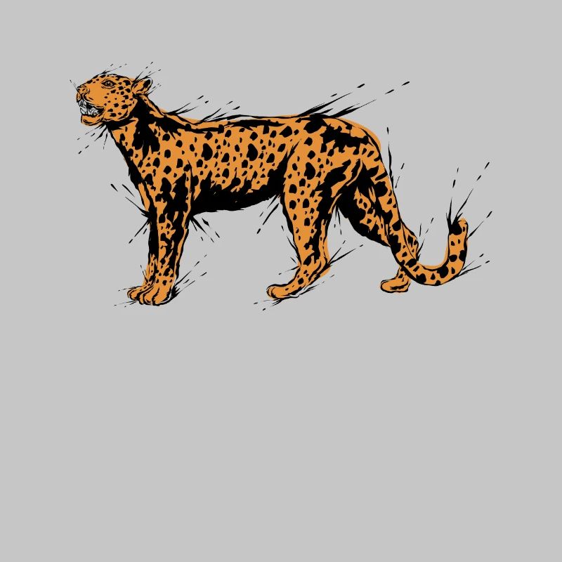 Cheetah Leopard