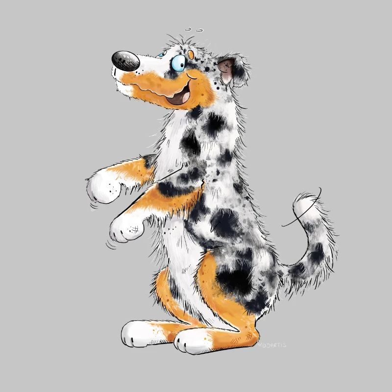 Funny Australian Shepherd