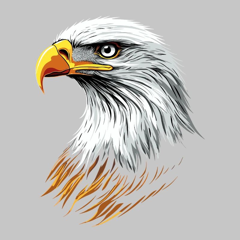 Eagle Bald Eagle Golden Eagle White-tailed Eagle