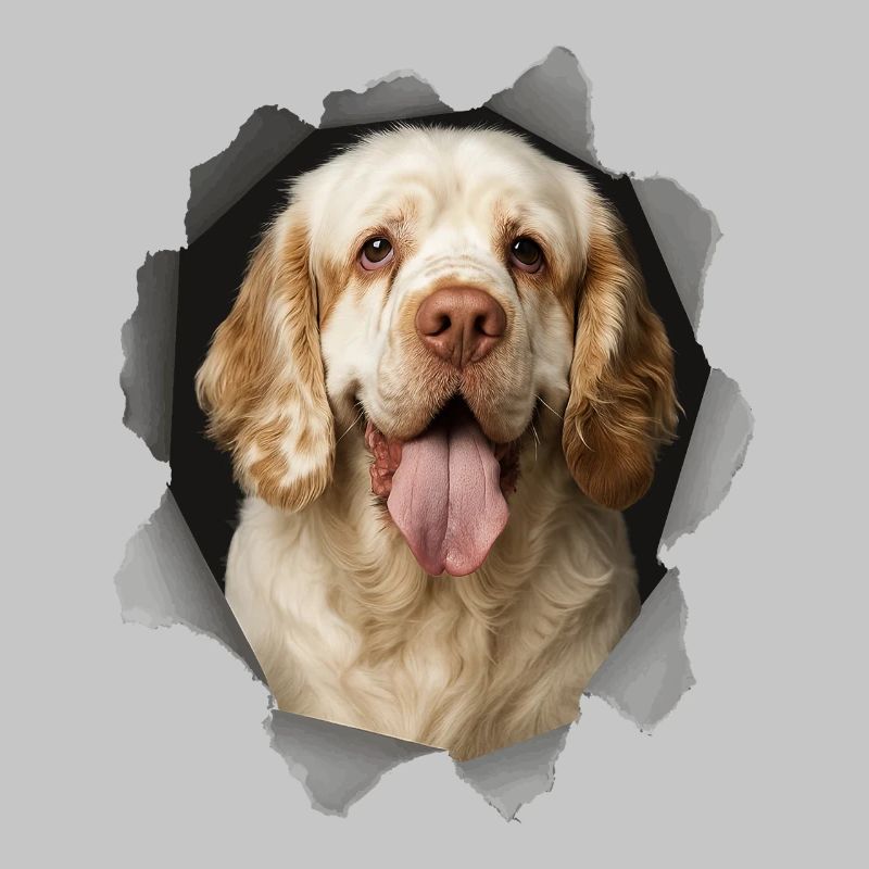 Clumber Spaniel