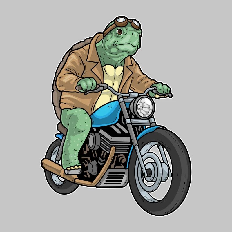 Turtle Motorcycle