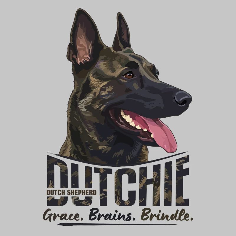 Dutchie - Holländischer Schäferhund