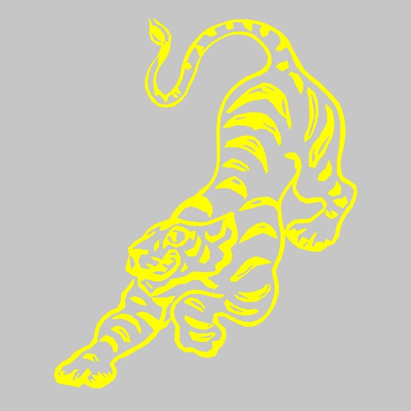 Chinese tiger pattern