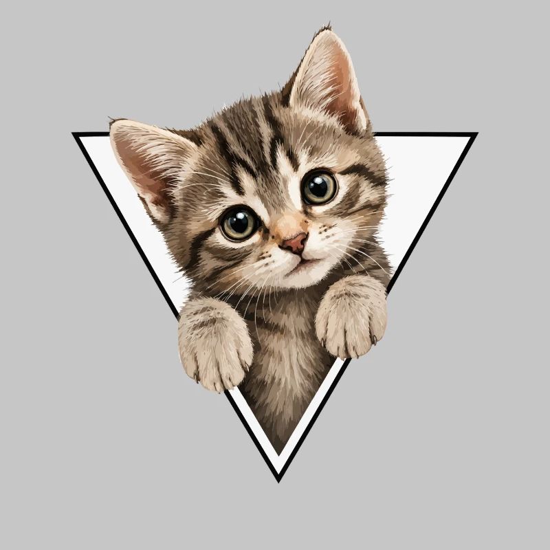 Chaton dans le triangle