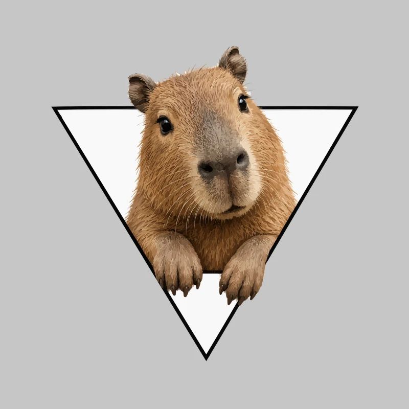 Kapybara im Dreieck