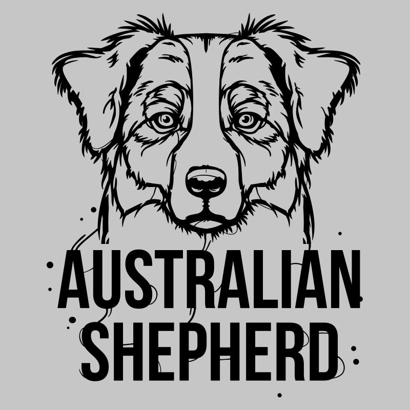 Australian Shepherd