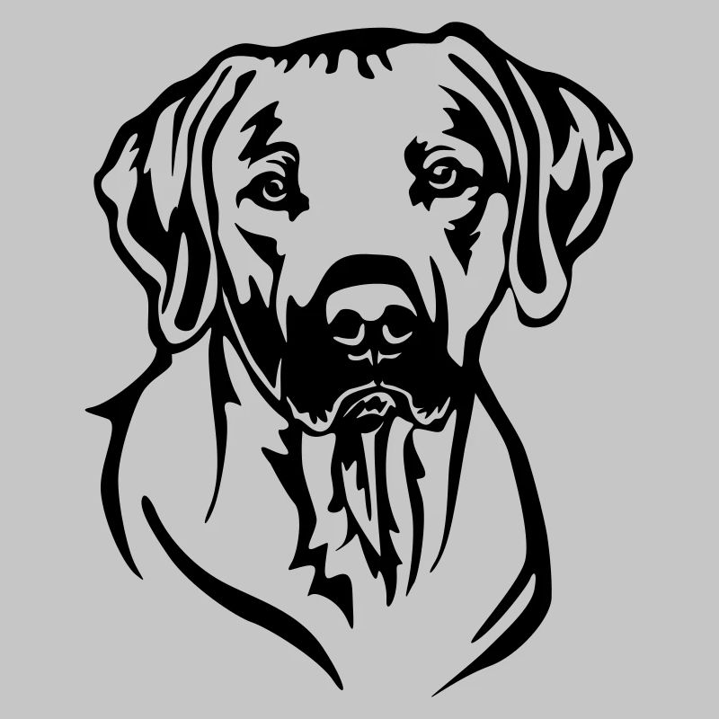 Rhodesian Ridgeback Head