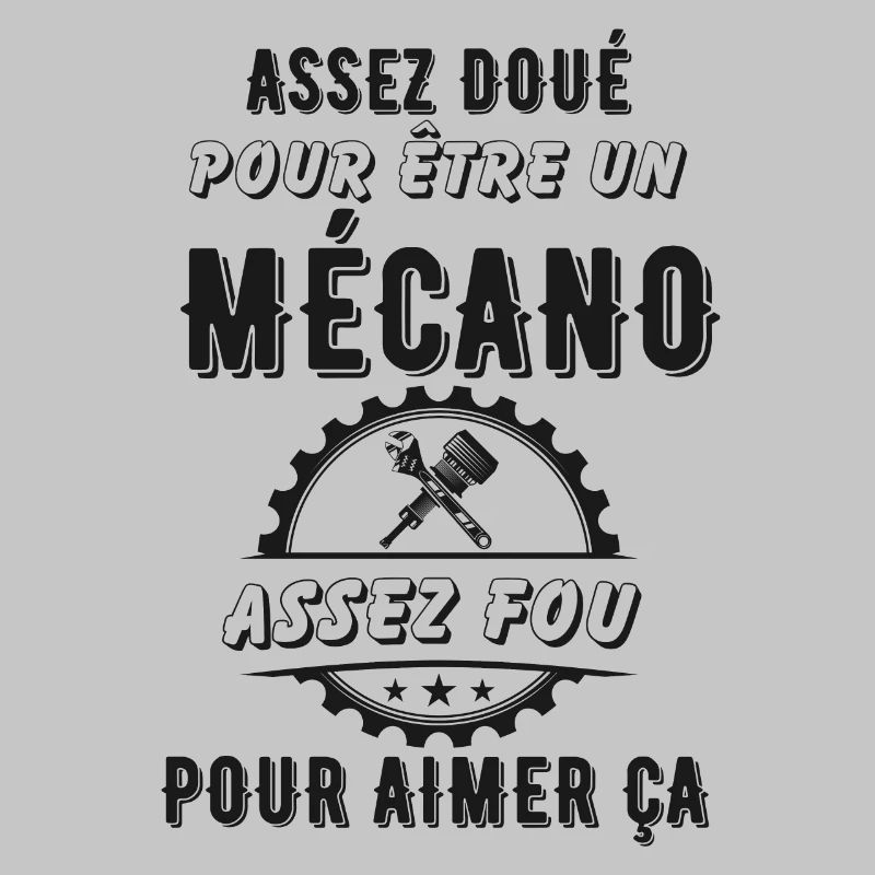 Mécano mécanicien doué