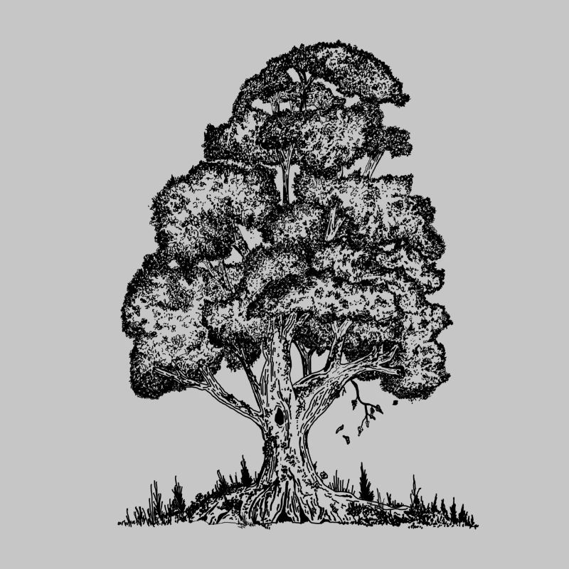 MJR - Schwarzer Baum