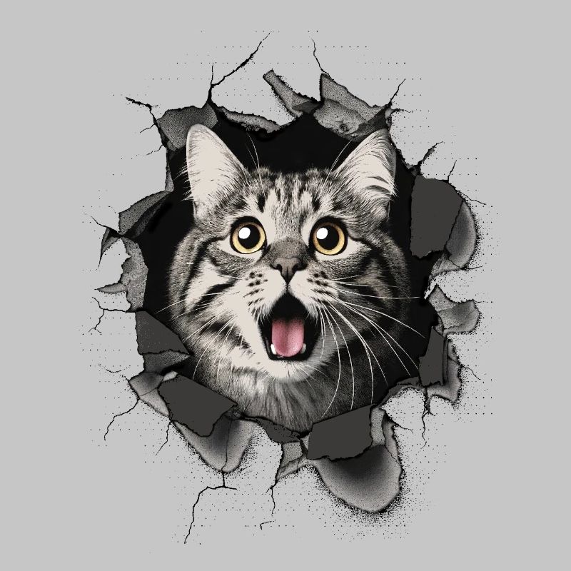 Cat Scared Wall Breakthrough Cracks