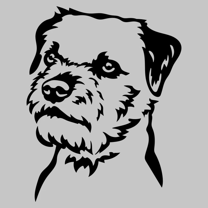 Tête de Border Terrier