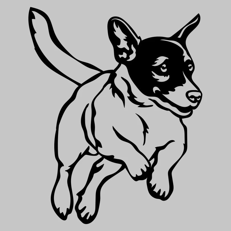 Jack Russell Terrier