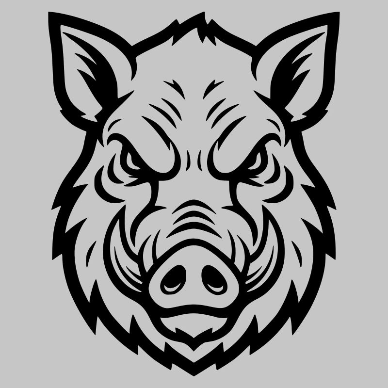 Wild Boar Head Boar Aggressive Vector