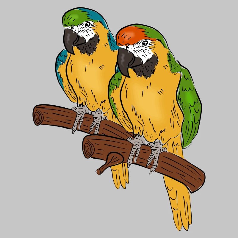 perroquets