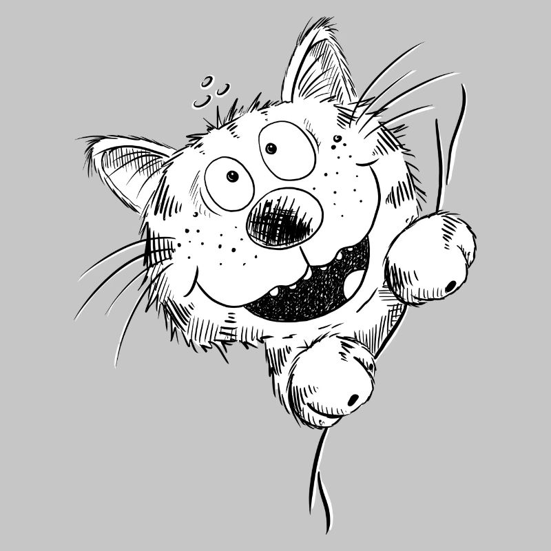 Drôle de chat rit