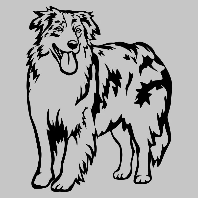 Australian Shepherd