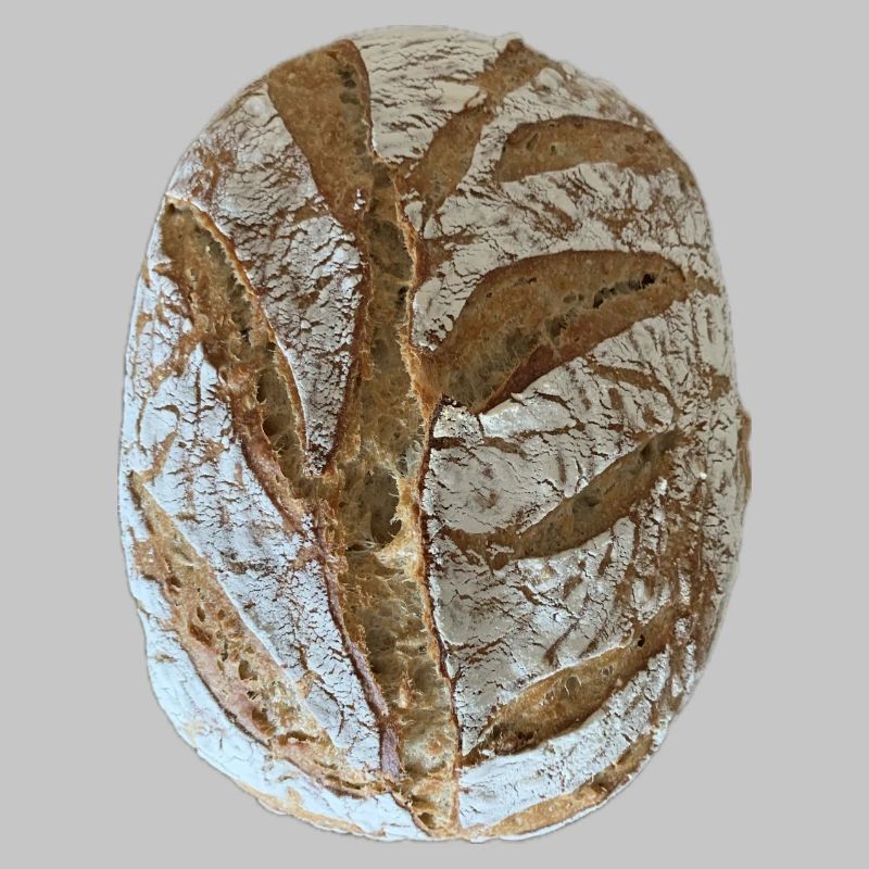 Rustikales Sauerteigbrot Illustration