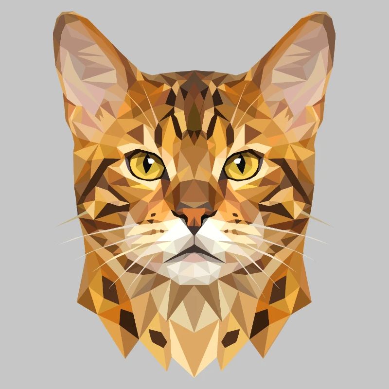 Chat léopard du Bengale, chat léopard, léopardette, chats du Bengale,