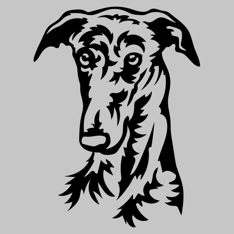Galgo Kopf