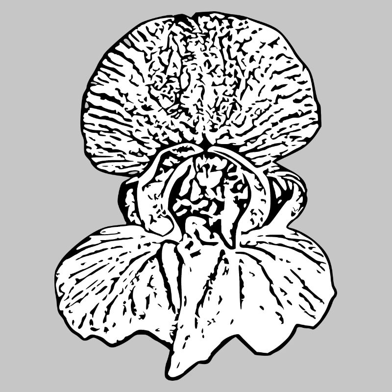 Muttertags Geschenk Mutter Muttertag Geschenkidee 