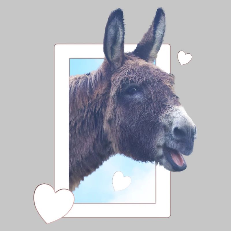 Cute donkey peeks through the window heart