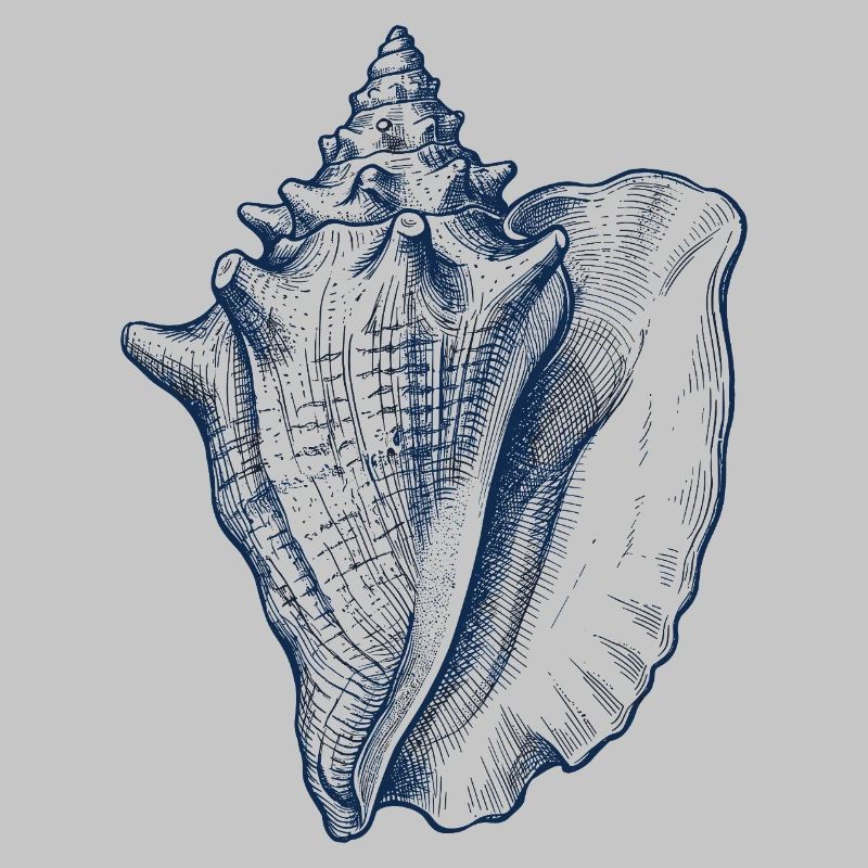 Sea Shell Illustration in Blue