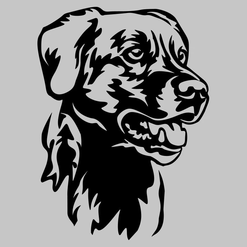 Tête de labrador