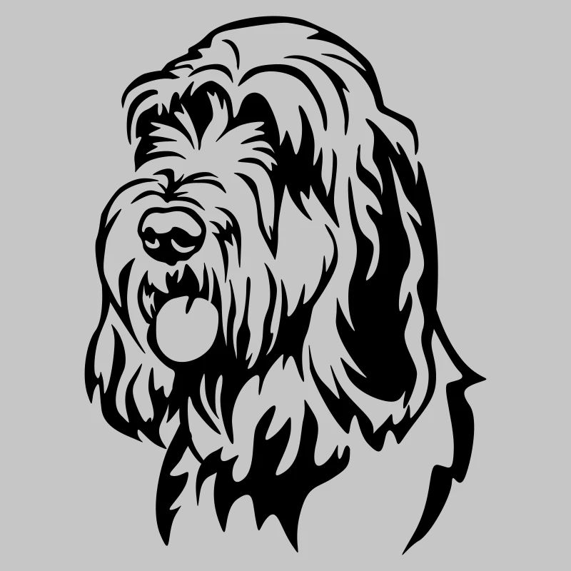 Spinone Italiano Kopf